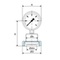 Pressure gauge with hydraulic separation diaphragm Type 39061 stainless steel food coupling DIN 11851
